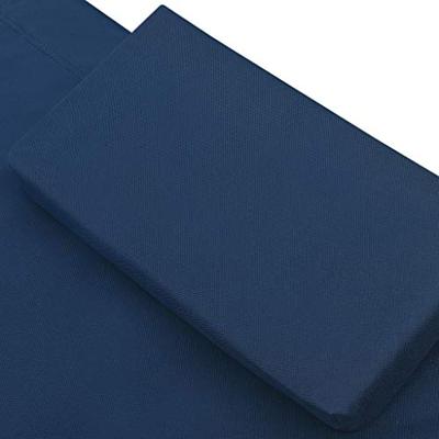 VidaXL Loungebed met luifel en kussens blauw