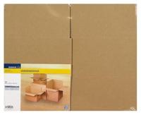 Raadhuis RD-351126-10 Verzenddoos 200x200x110mm 10 Stuks - thumbnail