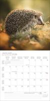 Egel Kalender 2026 - thumbnail