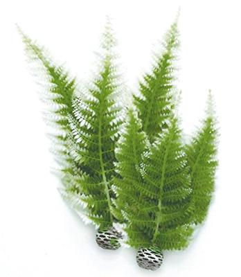 Aquariumtoebehoren wintervaren set 2 biOrb - Biorb Aquariumtoebehoren wintervaren set 2 biOrb - Biorb