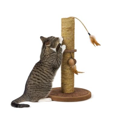 Nobleza Krabpaal met speeltjes - Bruin - 44 cm