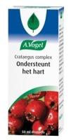A.Vogel Crataegus + Valeriaan Hart en Bloedvaten Druppels - thumbnail