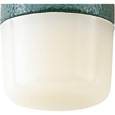 Stahlwille 10956R 40 ERSATZ-NYLONKOPF ZU HAMMER NO. 10956 79050040 Reservekop 31 g 1 stuk(s)