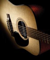 Fishman PRO-BLK-STK Blackstack Passive Soundhole Pickup - thumbnail