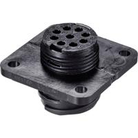 TE Connectivity 205840-3 Ronde connector Bus, recht Totaal aantal polen: 28 Serie (ronde connectoren): CPC 1 stuk(s) - thumbnail