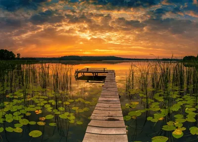 Alexsar Art Tuinschilderij panorama 70x50cm