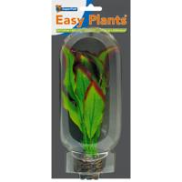 Easy plants middel 20cm nr. 9 zijde - thumbnail