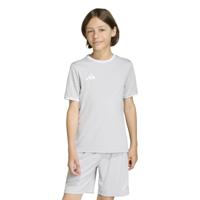 adidas Entrada 26 Voetbalshirt Kids Grijs Wit - thumbnail