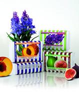 Nesti Dante le deliziose frutti di bosco zeep 150gr. - thumbnail