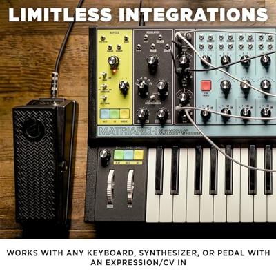 Moog EP-3 universeel expressiepedaal