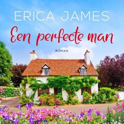Een perfecte man
