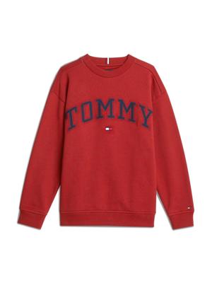 Varsity Embroidery S Dark Magma