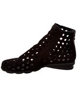 Arche DATO - alle - thumbnail