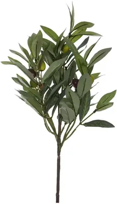 Pure Royal kunsttak olijf 40cm groen Pure Royal kunsttak olijf 40cm groen