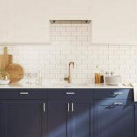 Handvatten 10 st 64 mm roestvrij staal zilverkleurig - thumbnail