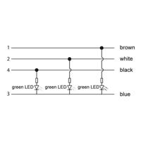 Lutronic 1161 Sensor/actuator aansluitkabel M12 Aantal polen (sensoren): 4 Stekker, recht, Bus, haaks 2.00 m 1 stuk(s) - thumbnail