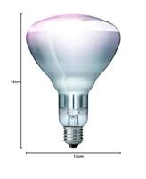 Hard Glas Lamp 250 W - Wit - thumbnail