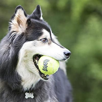 KONG SQUEAKAIR TENNISBAL GEEL MET PIEP XL 10X10X10 CM - thumbnail