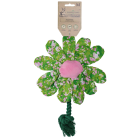 Garden Paws Flower Summer Shrubs M - thumbnail