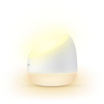 WiZ Squire verlichting WiZ Squire verlichting