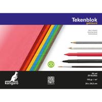 Kangaro tekenblok A4+ 110 gram 20 vel gekleurd - thumbnail