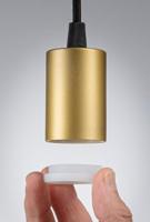 Paulmann 71134 Hanglamp E27 Zwart (mat), Goud - thumbnail