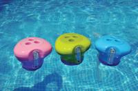 Regelbare chloor dispenser met thermometer - thumbnail