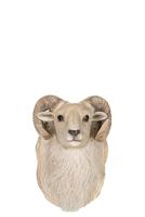 Geitenkop hangend Polystone beige 35 cm - thumbnail