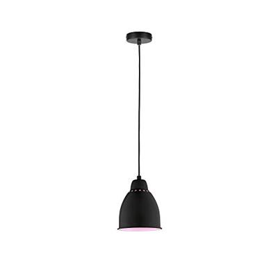 Paulmann 79763 Hanglamp E27 Zwart