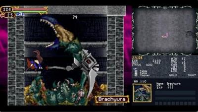 Castlevania Dominus Collection - Portrait of Ruin Cover (Limited Run Games)