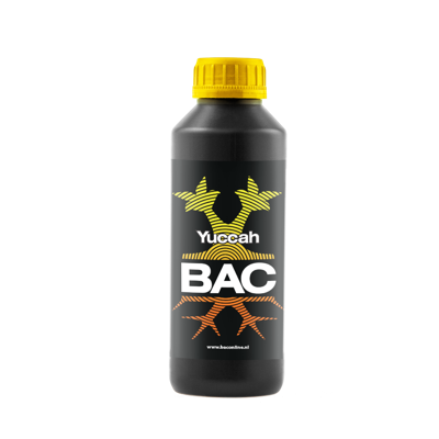 BAC BAC Yuccah BAC BAC Yuccah