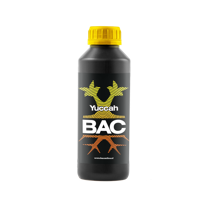 BAC BAC Yuccah - thumbnail