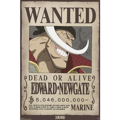 Poster One Piece - Wanted Whitebeard 61x91,5cm Poster One Piece - Wanted Whitebeard 61x91,5cm
