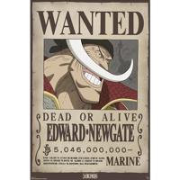 Poster One Piece - Wanted Whitebeard 61x91,5cm - thumbnail