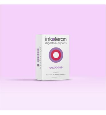 Cozidase - 60 Capsules | Histamine | Bouwstoffen voor de aanmaak van DAO-enzym | Positieve invloed op het immuunsysteem | Puur & Vegan | Intoleran