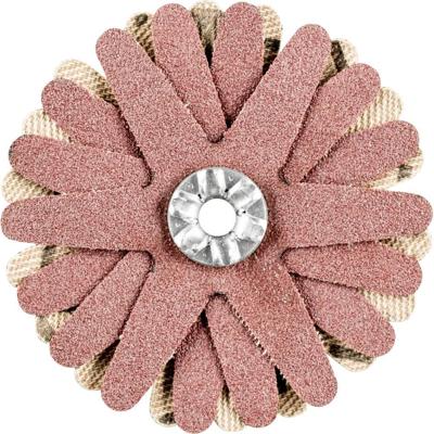 PFERD TOOLS 42732068 Schuurster Diameter 50 mm 10 stuk(s)