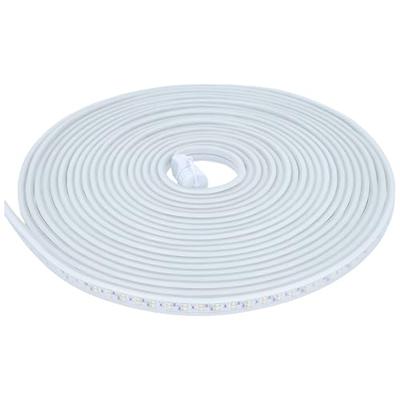 AS Schwabe 46711 LED-lichtband Energielabel: E (A - G) Met connector (male) 230 V 25 m Natuurwit 1 stuk(s) AS Schwabe 46711 LED-lichtband Energielabel: E (A - G) Met connector (male) 230 V 25 m Natuurwit 1 stuk(s)