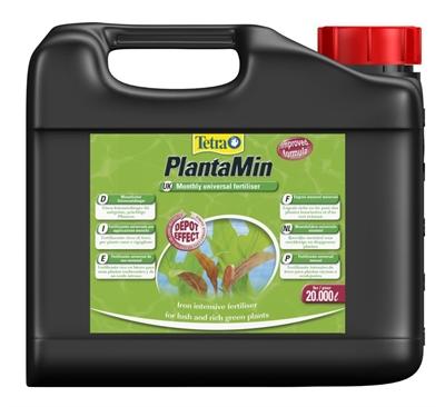 Plant Planta Min 5 liter Vis Gebr. de Boon Tetra - Tetra