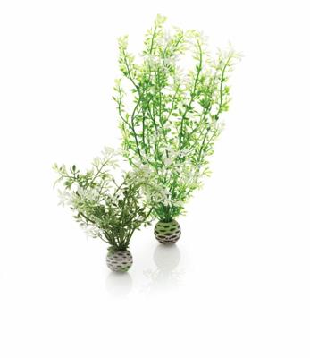 Aquariumtoebehoren winterbloem set 2 biOrb - Biorb