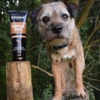 Animology Derma Dog Sensitive Skin Dog Shampoo 250 ml - thumbnail
