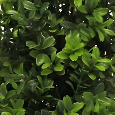 Boxwood Orion tapered green 60 cm kunstbloem Erutan Avon - Erutan avon