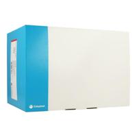 Sensura Mio Click 2d g/z Maxi+venst.50mm 30 11413 - thumbnail