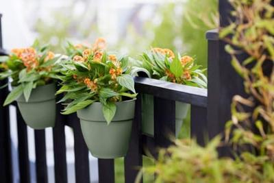 Elho vibia Campana flower twin 21 cm Pistachegroen