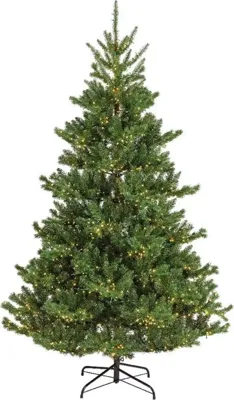 Everlands Alba fir verlichte kunstkerstboom groen 210cm, 2400 lampjes