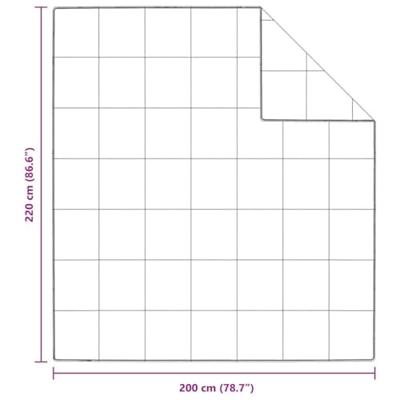 Dekentjes & Dekbedden Wit 200 x 220 cm Dons