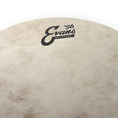 Evans &apos;56 Calftone TT15C7 tomvel 15 inch
