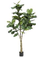 Kunstplant Ficus Lyrata - 180cm - thumbnail