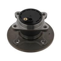 Wielnaaf 31063 - thumbnail