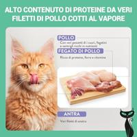 Schesir ad velvet kat kip&eend 12x80 gr Schesir Malanico - Malanico - thumbnail