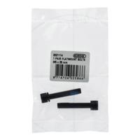 Flatmount Bouten Elvedes M5 x 28mm - thumbnail